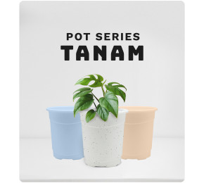 Koleksi Plants Pot